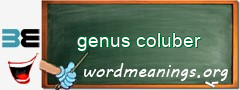 WordMeaning blackboard for genus coluber